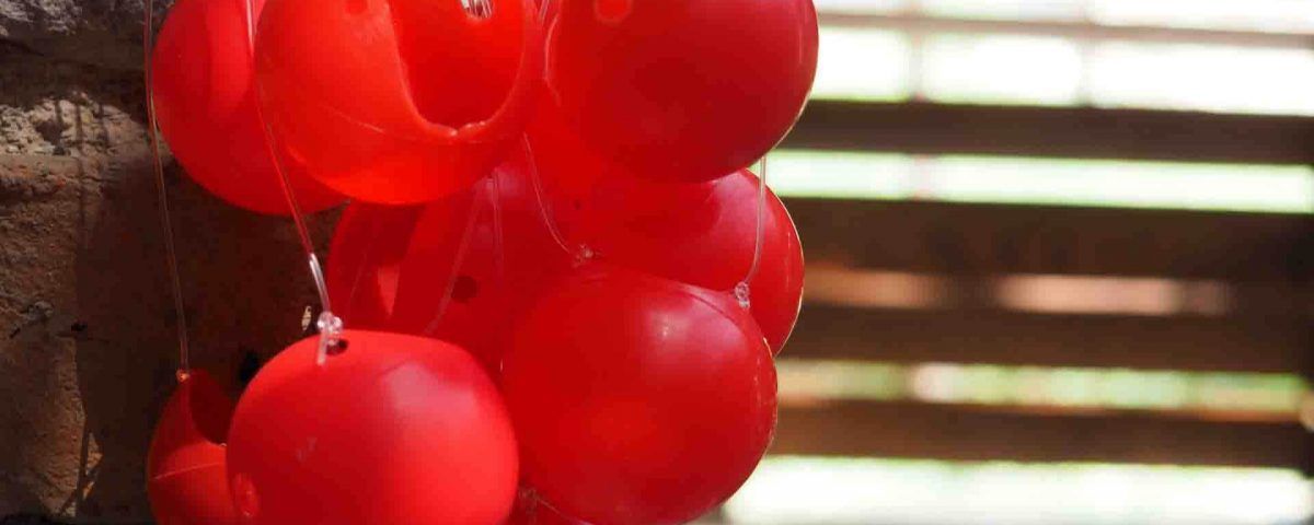 Şiirsel Komedi: Bir Clown Araştırması