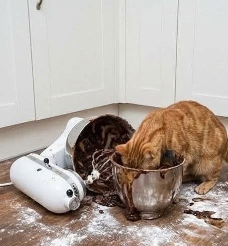 UX Araştırma Temelleri fotoğraf 1